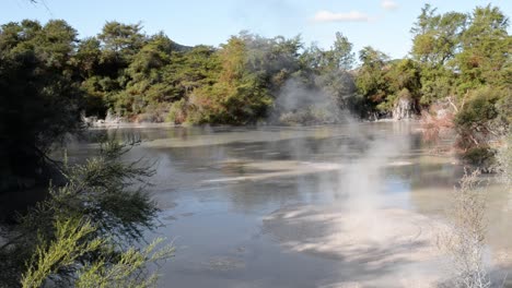 static shot of a large mud pool at waiotapu, rotorua, new zealand