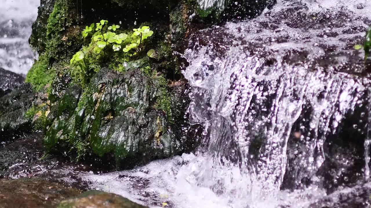 cascadas de agua sobre rocas de musgo en la naturaleza
