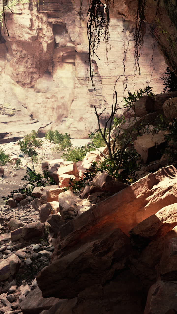 사막 의 협곡 의 전망