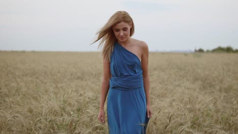 attractive young woman in a long blue dress walking through golden wheat field looking to the camera. freedom concept