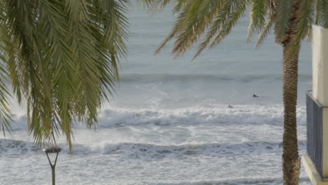 Surfers-dudes-ride-waves,-fall-over-as-palm-leaves-sway-in-the-foreground