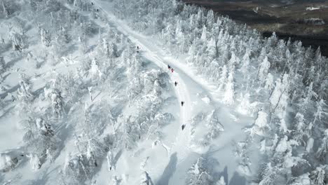 snowy mountain hike