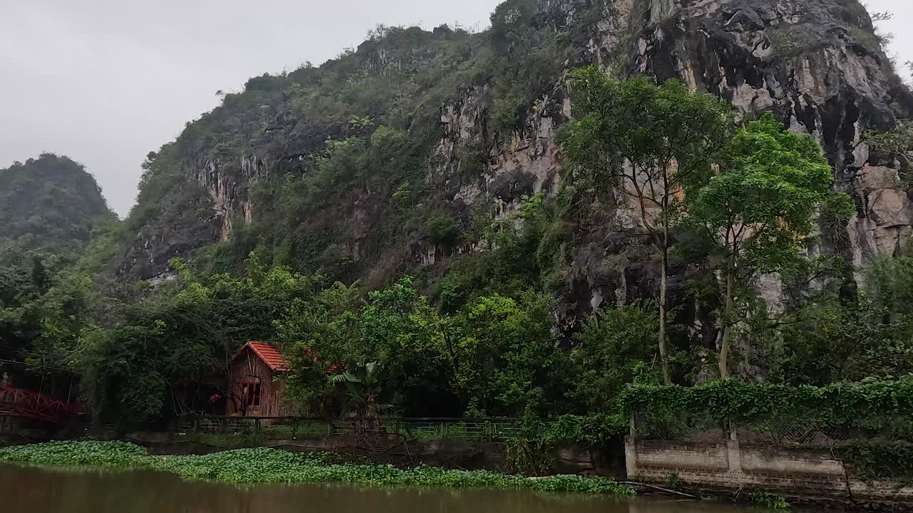 울창한 초록색과 강의 ninh binh