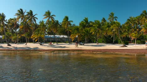 antena de playas, palmeras y el océano en una de las islas clave