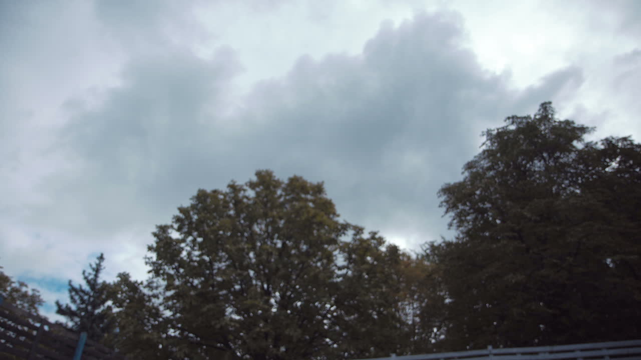 아메리칸 볼 선수들