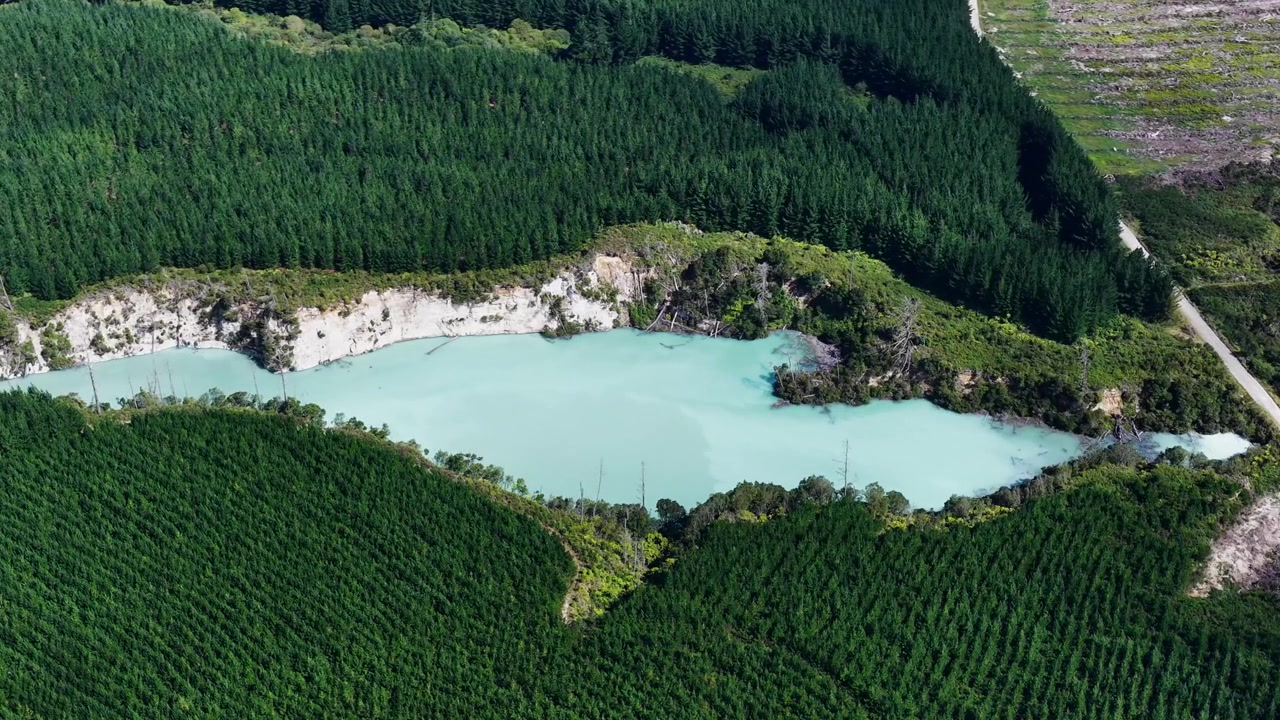 Rotoruan geoterminen kraatterijärvi mäntymetsän ympäröimänä Bay of Plentyssä, Pohjoissaarella, Uudessa-Seelannissa. Ilmakuva dronella turkoosista vedestä, tulivuorimaisemasta ja geotermisestä luonnosta.