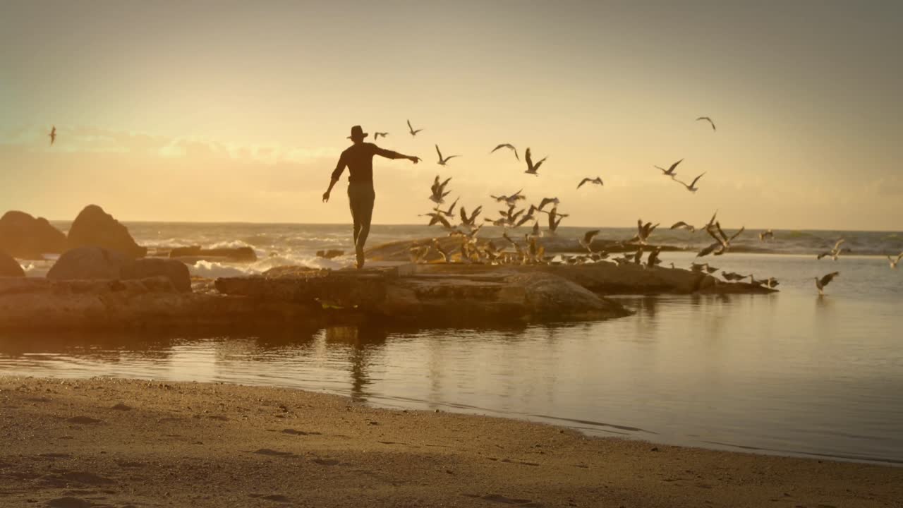 배경 에 바다 를 날아다니는 사람 과 새 들 의 실루 ⁇  의 애니메이션