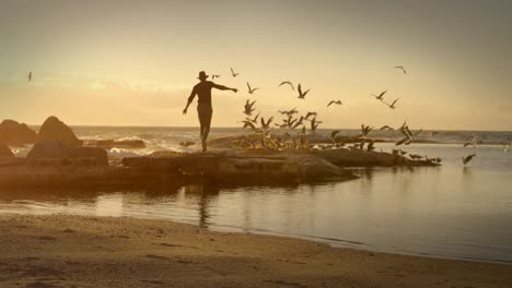 Animación-De-Silueta-De-Hombre-Y-Pájaros-Volando-Sobre-El-Mar-En-Segundo-Plano.