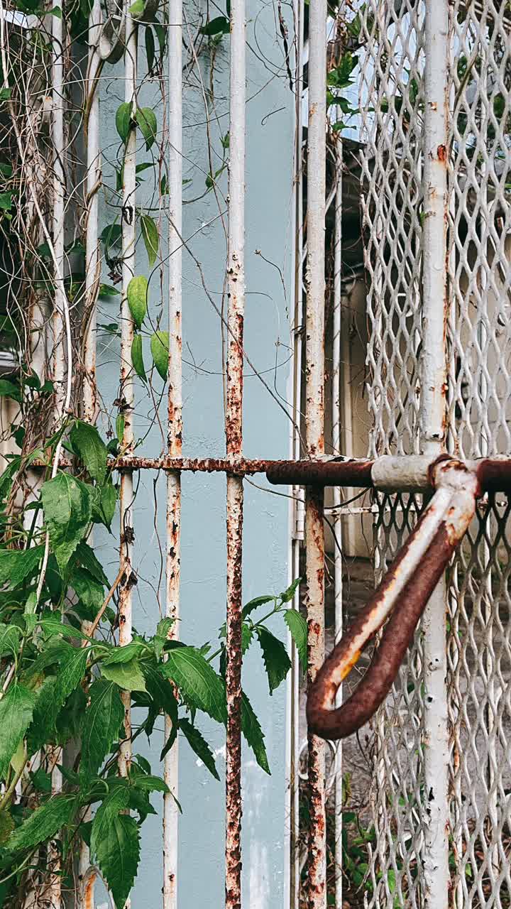 Rusty Abandoned Gate with Plants