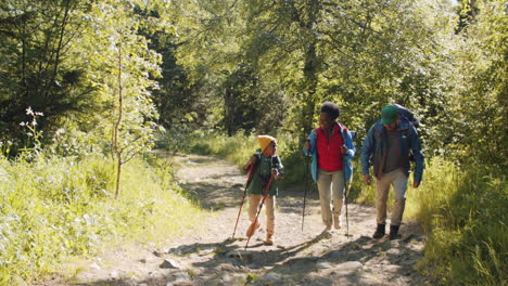 familia multiétnica caminando con palos de senderismo en el bosque