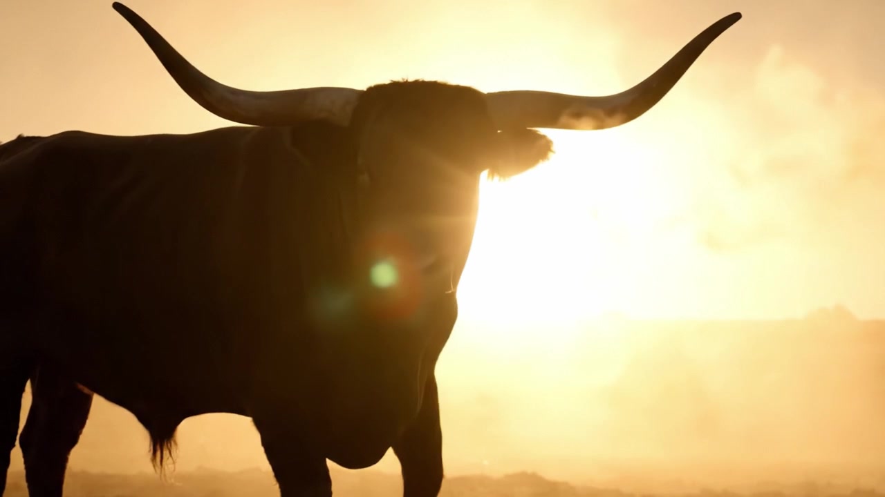 Un toro maestoso sagomato contro un tramonto dorato in un paesaggio polveroso, che cattura l'essenza della forza e della bellezza della natura