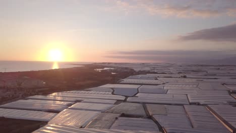 sunrise over coastal greenhouse farms
