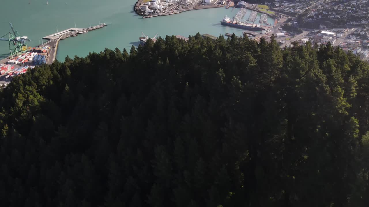 puerto de littelton, nueva zelanda - disparo de apertura aérea sobre la línea de árboles