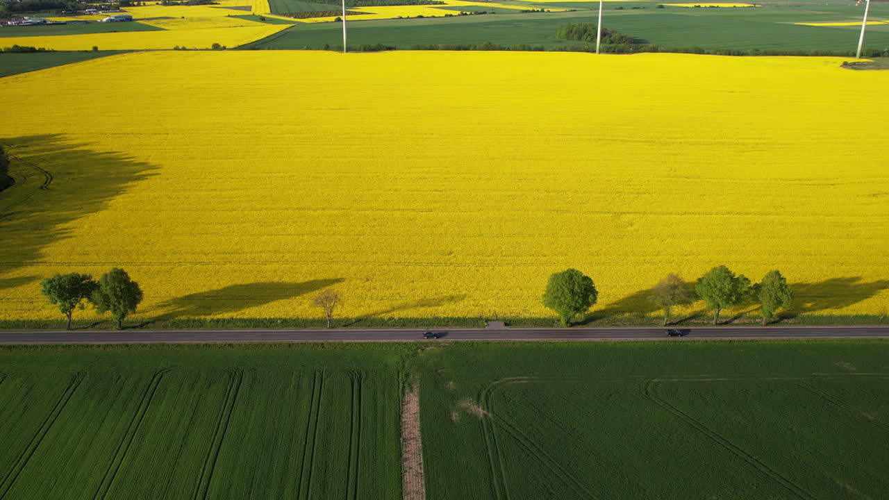 aérea de arriba hacia abajo - hermosos campos de colza amarilla y cereales verdes en maduración acompañados de turbinas eólicas