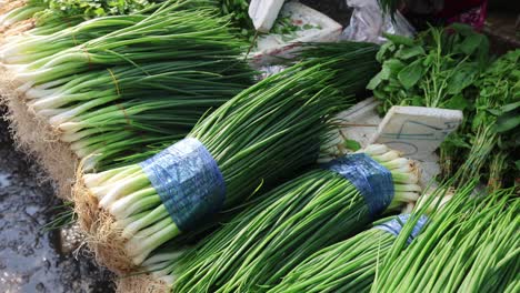 hands tying bundles of green onions on a table