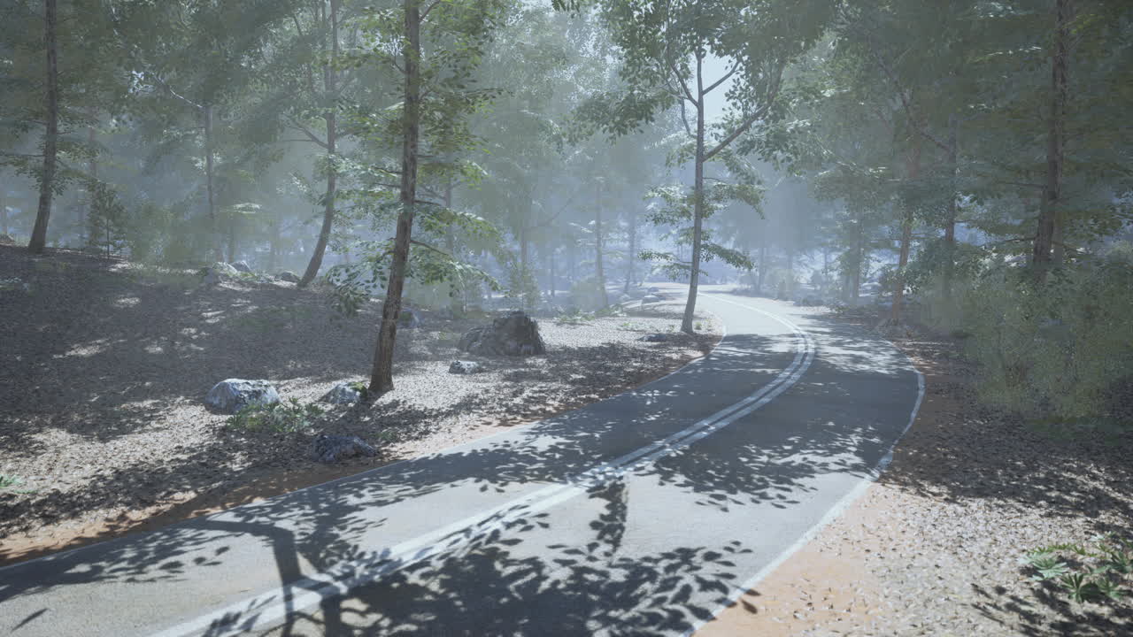 Serene winding road through the forest in soft morning light and mist
