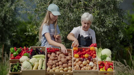 a teenage girl helps her grandmother who sells vegetables at the farmers market