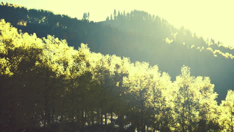 Valley-with-autumn-trees-among-the-mountains-lit-by-the-sun-at-sunset