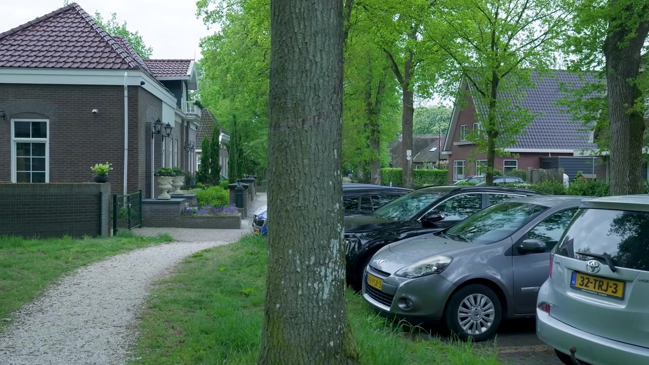 Strada residenziale tranquilla con auto parcheggiate e alberi verdi