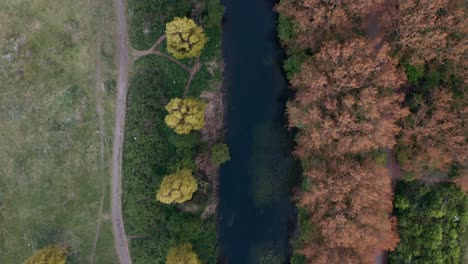 top down drone shot of calm river surrounded by autumnal trees