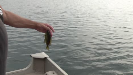 man in a motor boat pulling fish with a hook from the water - high angle