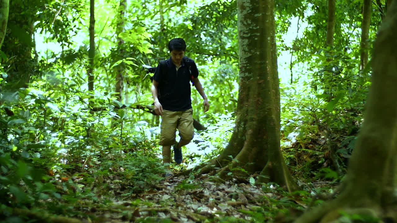 Man Hiking in Lush Green Tropical Forest