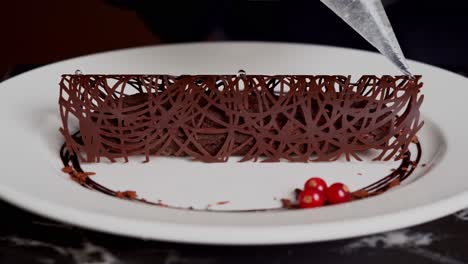 a person decorated a chocolate with a gold liquid, close up shot, insert shot, wide shot