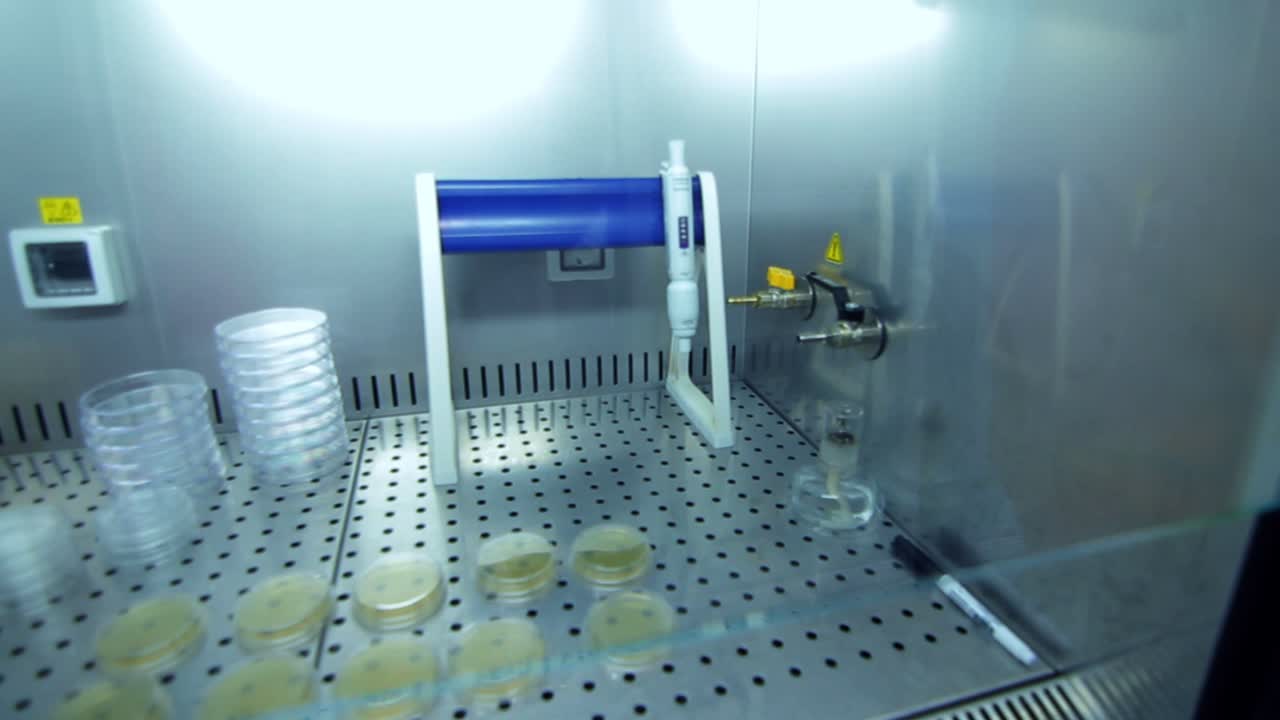 Laboratory glassware for clinical research. Lab tubes in refrigerator storehouse