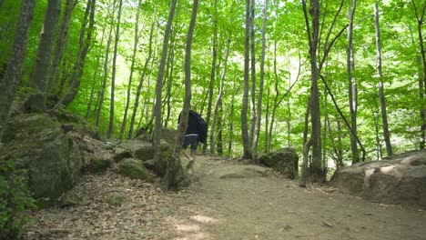 traveler adventurer walking in an unknown forest.