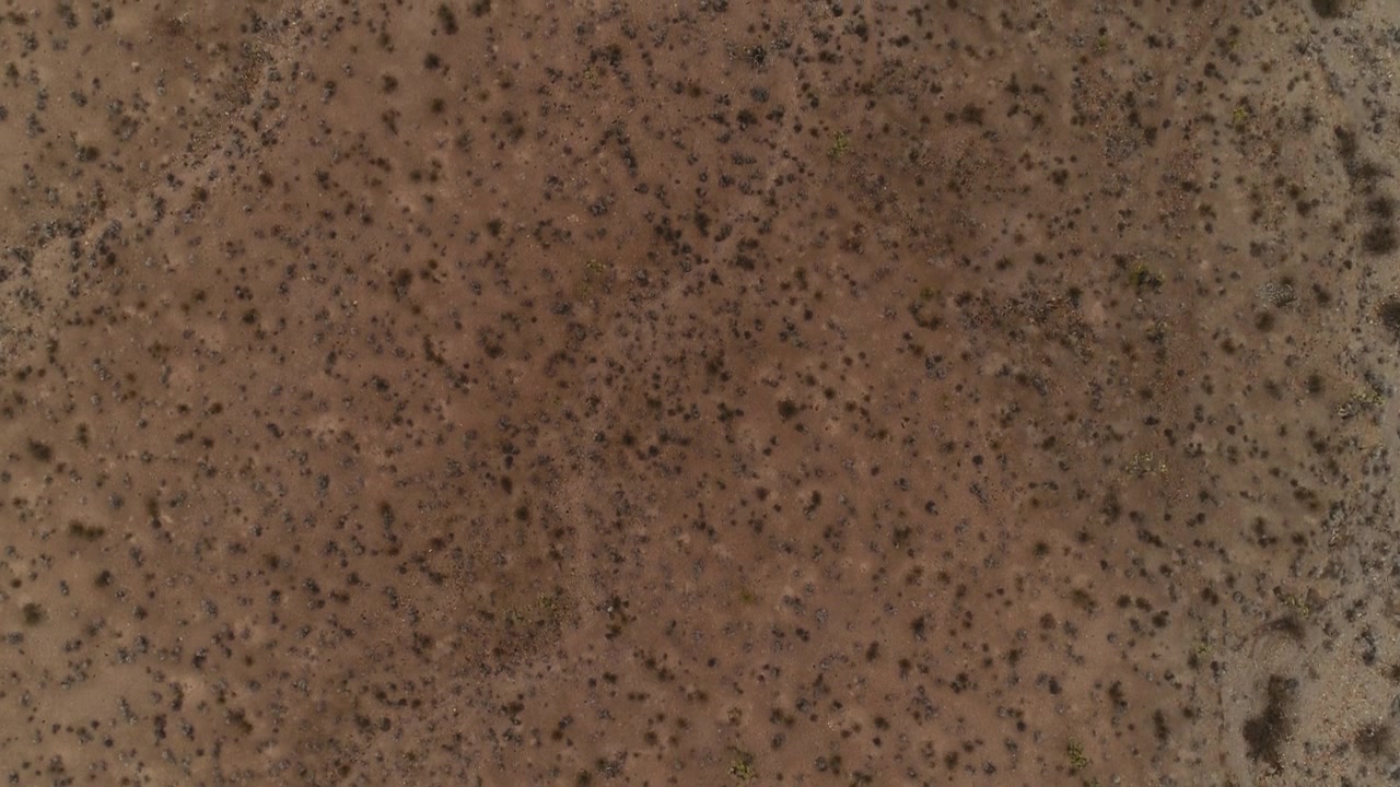 Luchtfoto van bovenaf van droog, dor woestijnlandschap met schaarse vegetatie