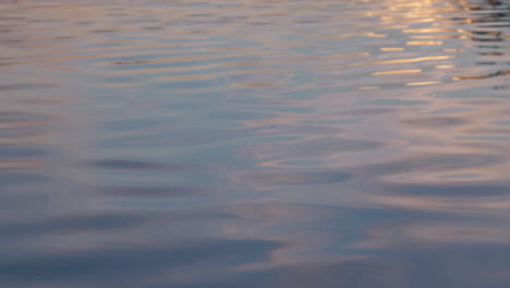 reflexión sobre la superficie del agua al amanecer, toma de fondo
