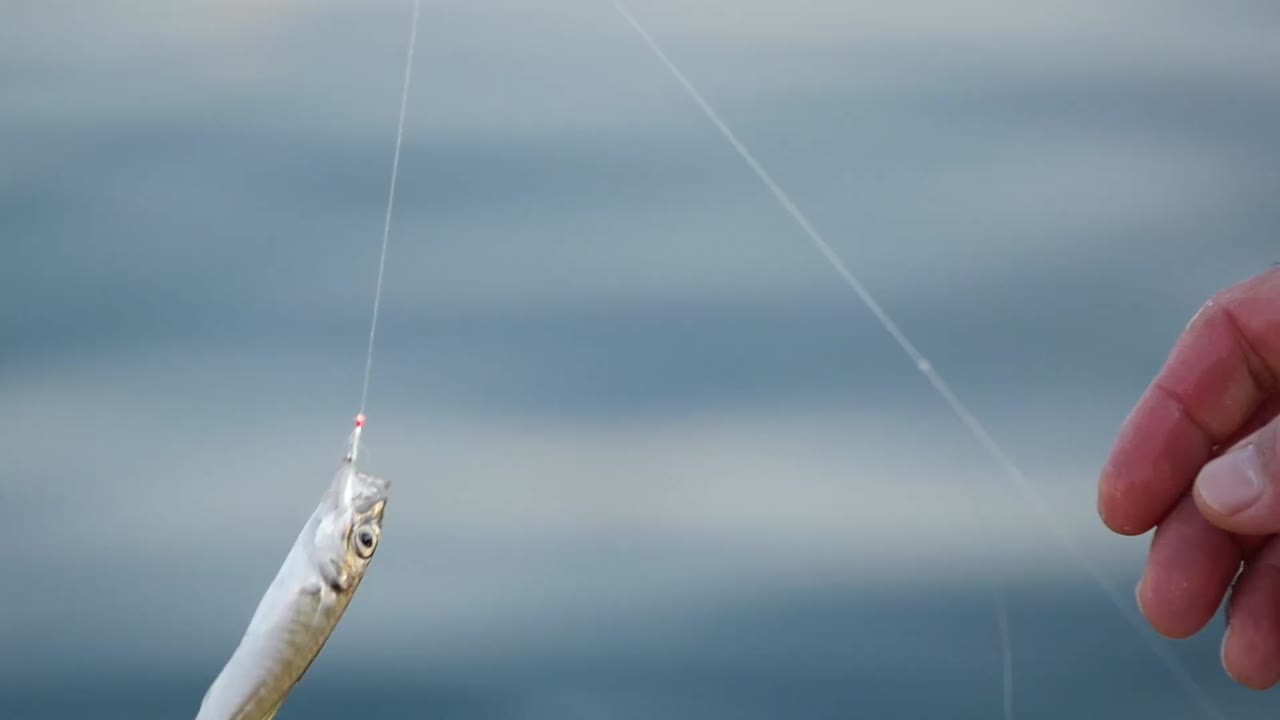 Man Holding a Caught Fish on a Fishing Rod