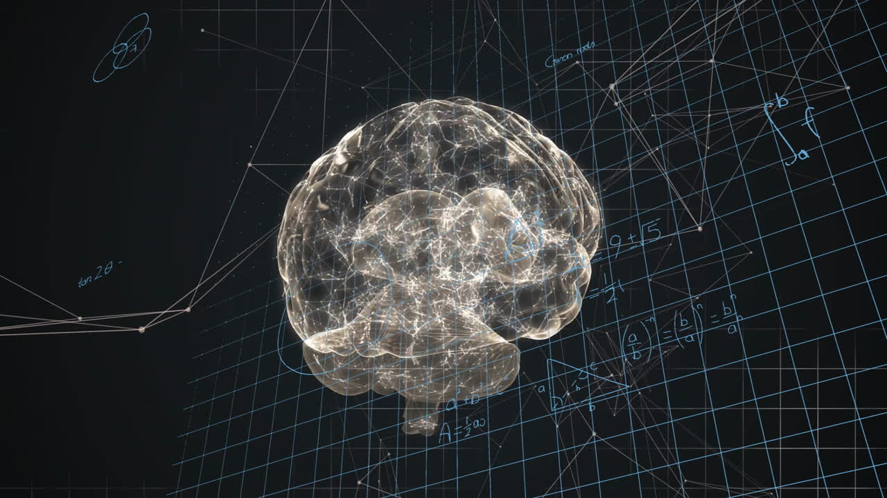 Animation of transparent brain model with mathematical equations and grid lines