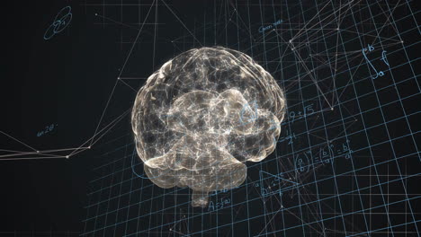 animation of transparent brain model with mathematical equations and grid lines