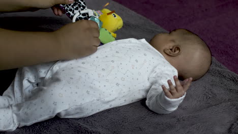 Adorable-2-Month-Old-Indian-Baby-Boy-Laying-On-His-Back-Being-Entertained-By-Colourful-Plush-Toy