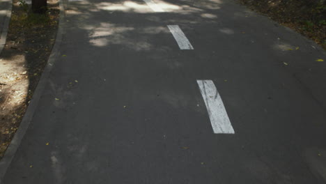 city bike lane and pedestrian crossing