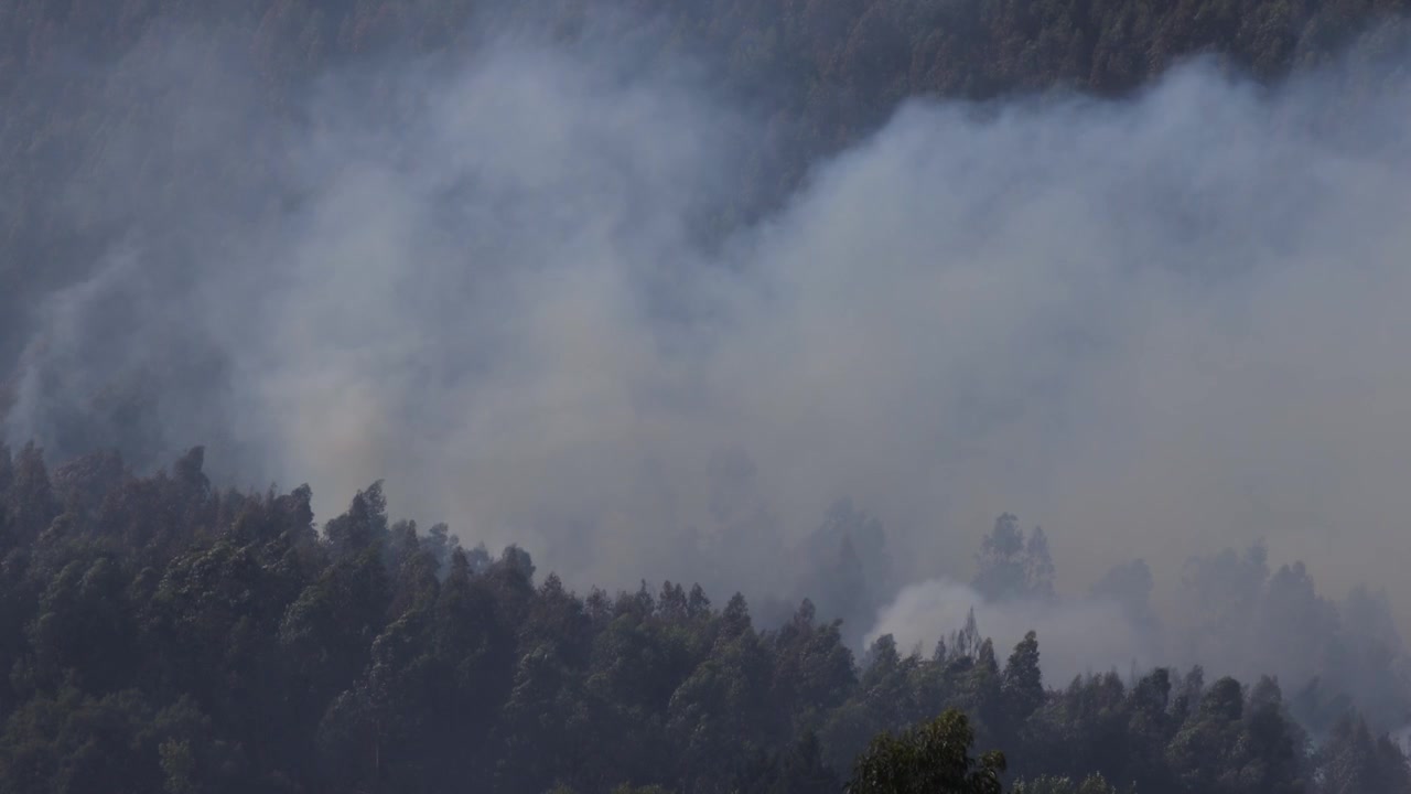 Un filmato drammatico mostra fumo denso che si alza da un incendio boschivo che sta consumando una fitta foresta vicino a un villaggio rurale in Portogallo, evidenziando l'intenso caldo estivo e l'impatto ambientale