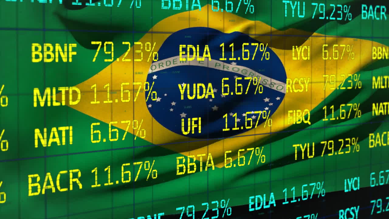 브라질 지도에 대한 금융 데이터 처리의 애니메이션