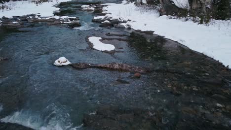 Creek-in-mountain-forest--downstream-winter-tilt