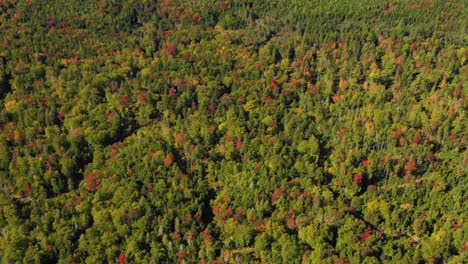 Un-Dron-Aéreo-Disparó-Hacia-Adelante-Y-Se-Inclinó-Sobre-Los-Coloridos-árboles-Del-Bosque-Otoñal-Para-Revelar-Grandes-Montañas-A-Medida-Que-Termina-El-Verano-Y-La-Temporada-De-Verano-Cambia-Para-Caer-En-Maine