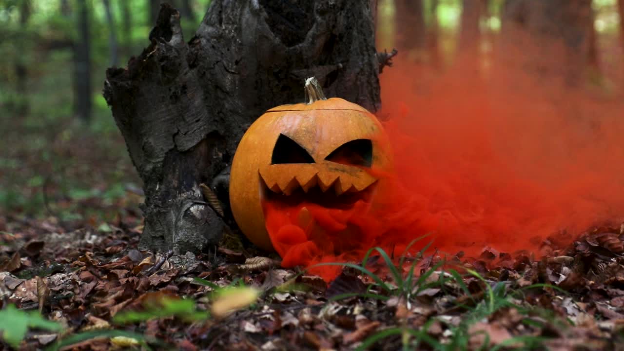 movimiento lento de una calabaza de halloween con una bomba de humo naranja en el interior en un bosque espeluznante con un fondo borroso