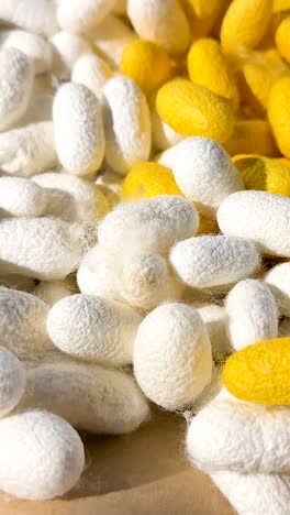 cocones blancos y amarillos exhibidos en una canasta