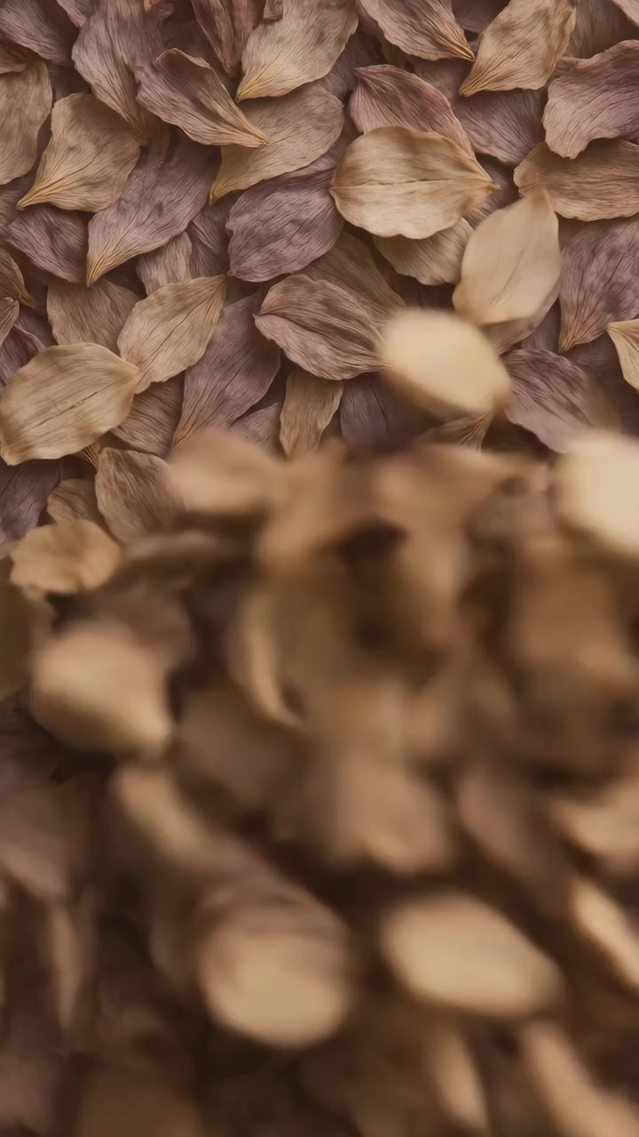 Petali secchi marroni e beige che cadono al rallentatore