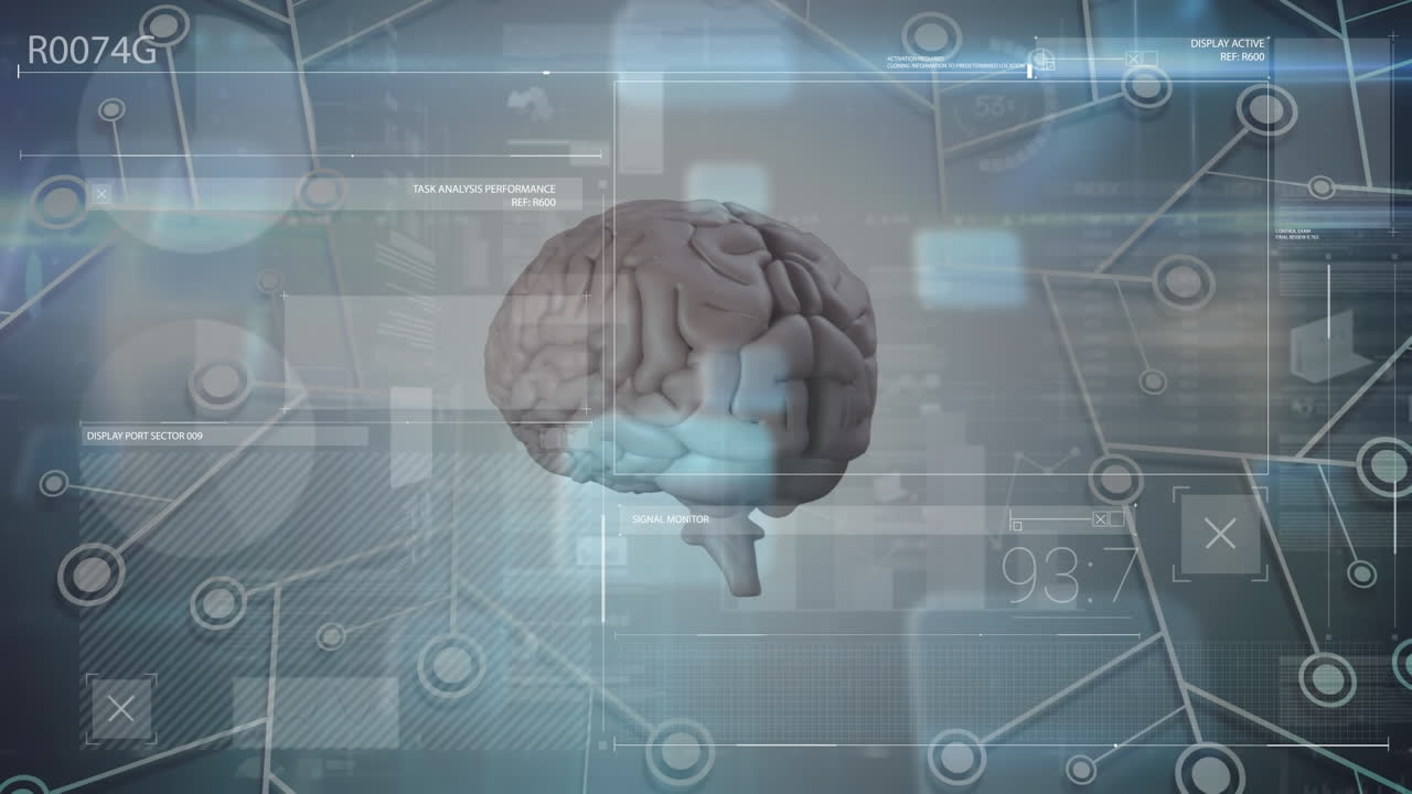 animación del cerebro rotando sobre diversos datos en la pantalla