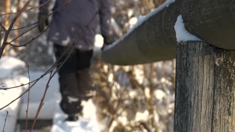 silhouette of person while walking on log bridge in winter forest landscape