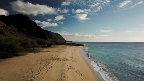 hawaii - beach flight at the west coast of hawaii