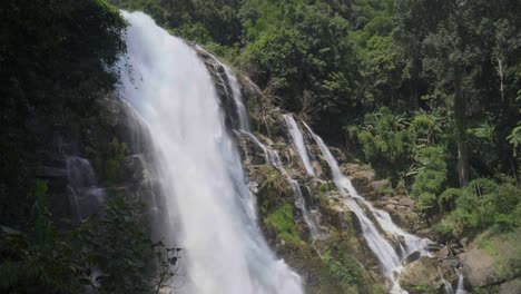 impresionante cascada en el exuberante bosque tropical