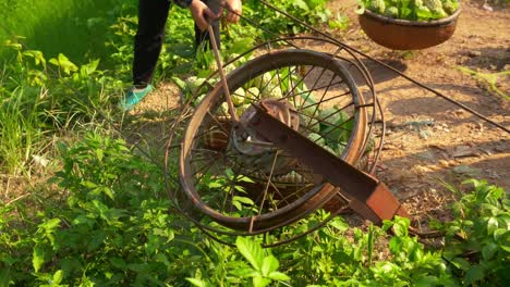 hand-held footage of a wheel spinning powering the ziplines that the farmers use to carry their fruit down the mountain in vietnam