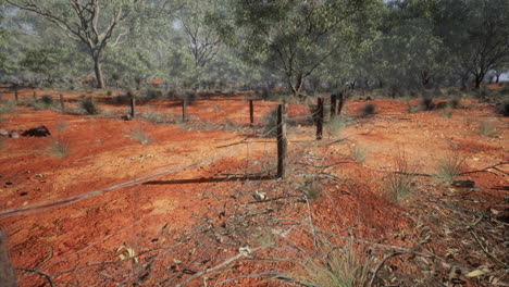 old-rusted-small-farm-fence