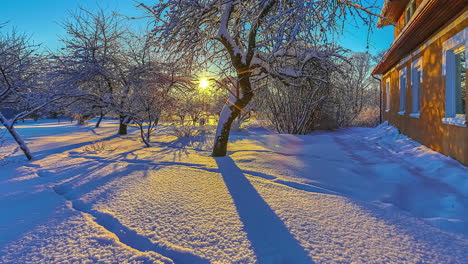 a low sun in a snowy urban environment